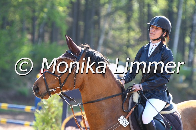 004M1431_Ludwig der Bayer_Spring A.JPG